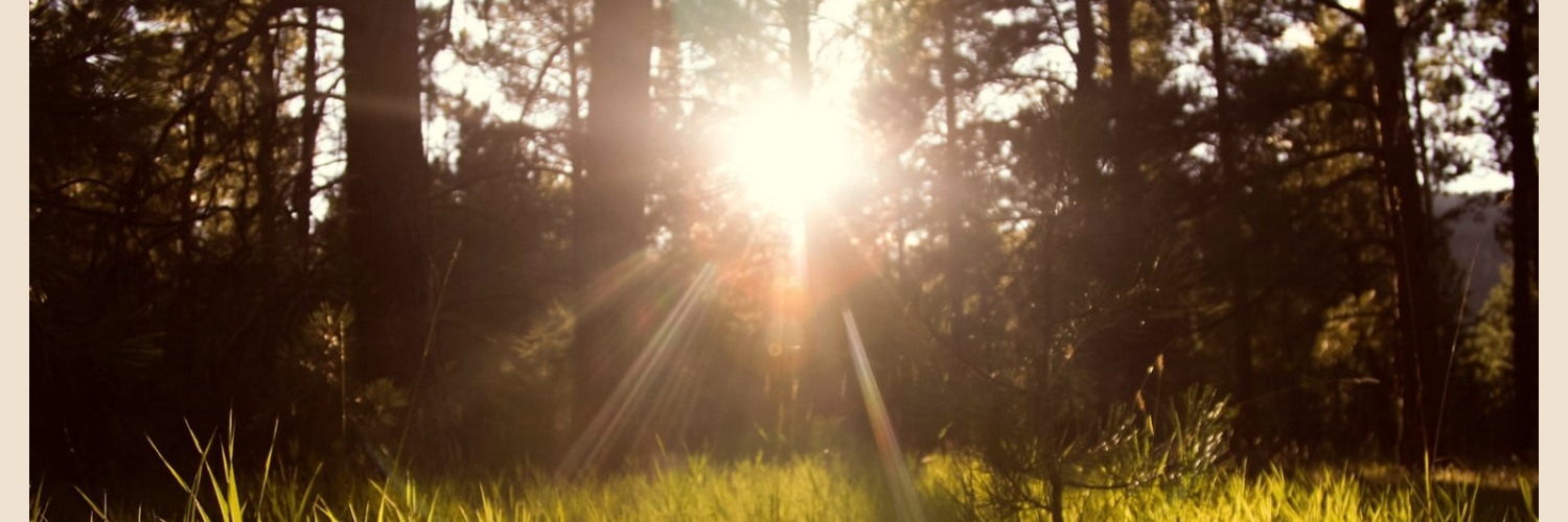 The dangerous rise of vitamin D level in Luxembourg on Wednesday